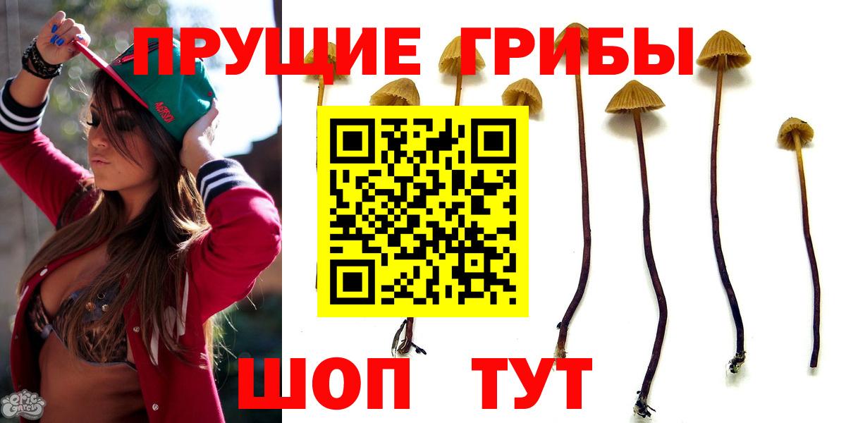 Минусинск  Псилоцибиновые грибы прущие грибы  Вход с VPN 